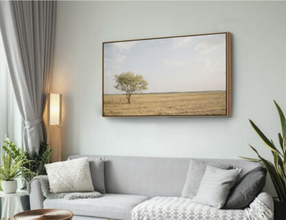 canvas - Imagem 3
