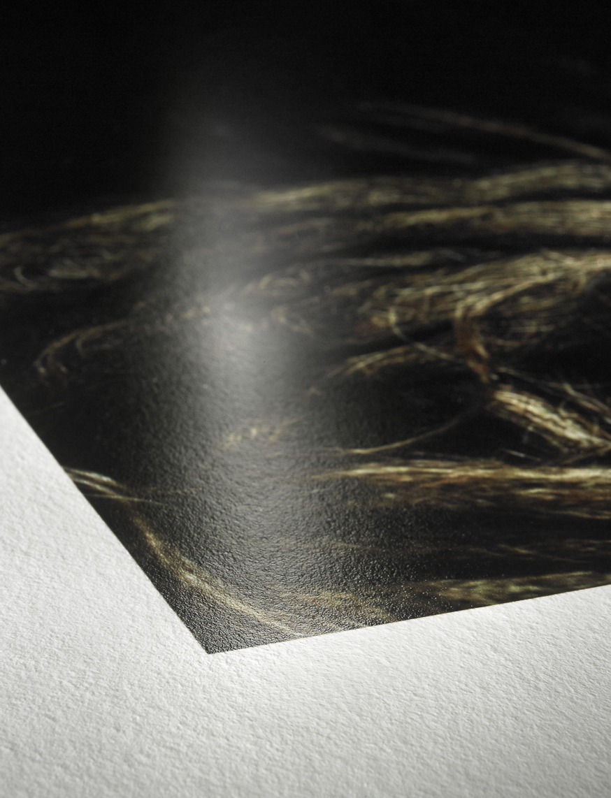 Hahnemühle Photo Rag Baryta 315g - Barracão de Imagens